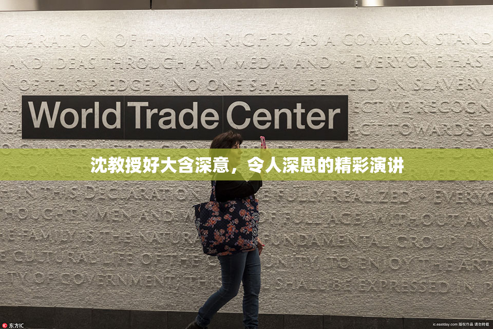 沈教授好大含深意，令人深思的精彩演讲