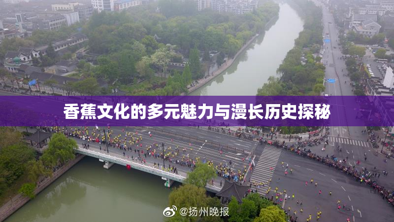 香蕉文化的多元魅力与漫长历史探秘