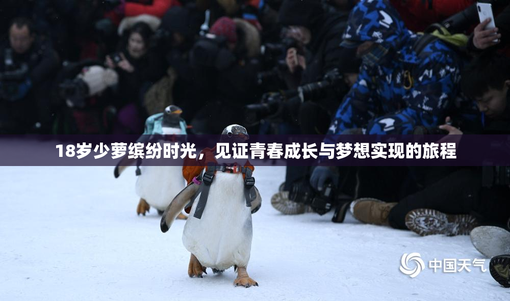 18岁少萝缤纷时光，见证青春成长与梦想实现的旅程