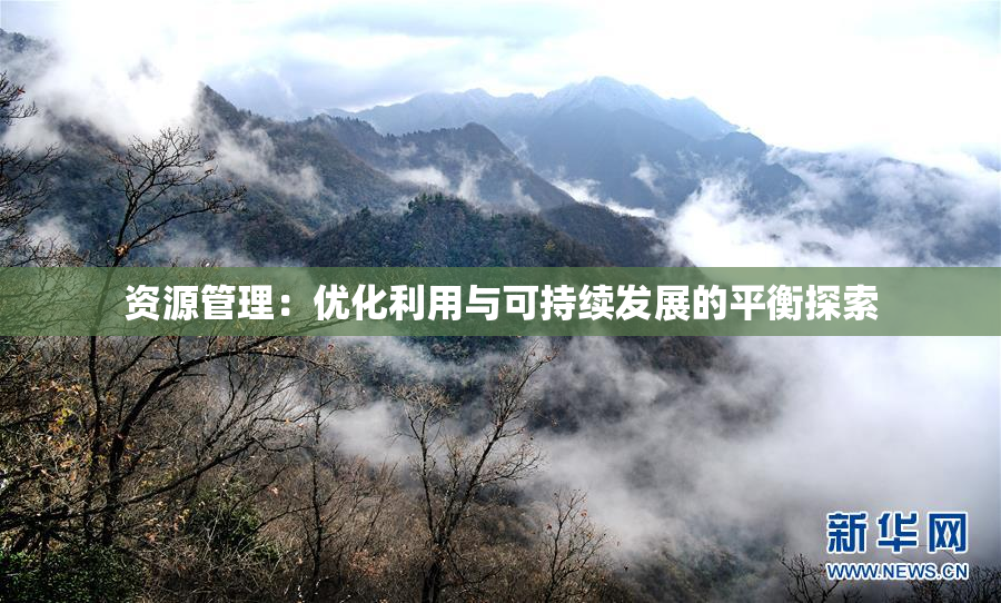 资源管理：优化利用与可持续发展的平衡探索