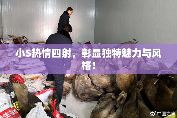 小S热情四射，彰显独特魅力与风格！