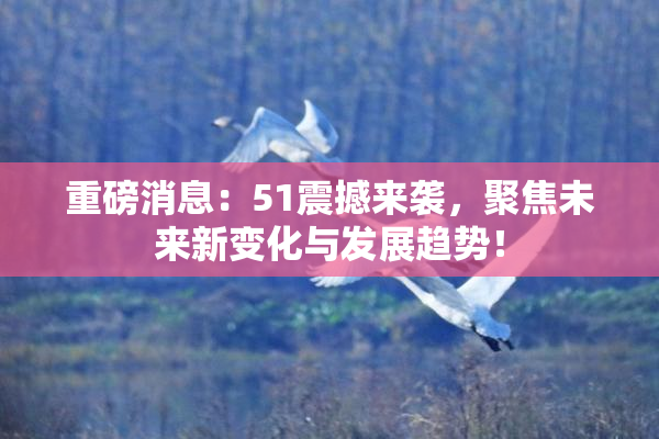 重磅消息：51震撼来袭，聚焦未来新变化与发展趋势！