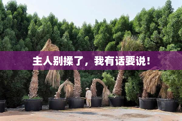 主人别揉了，我有话要说！