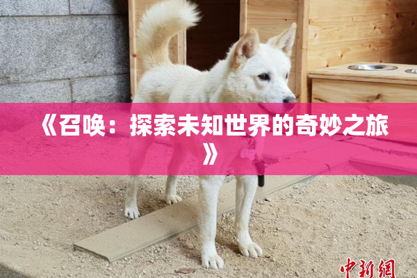 《召唤：探索未知世界的奇妙之旅》