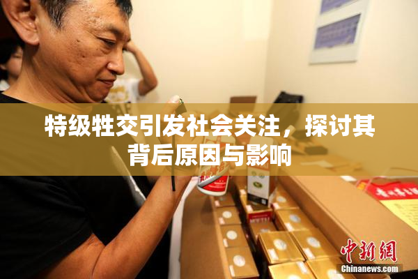 特级牲交引发社会关注，探讨其背后原因与影响
