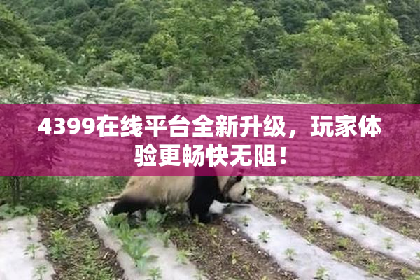4399在线平台全新升级，玩家体验更畅快无阻！