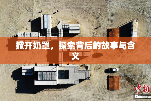 掀开奶罩，探索背后的故事与含义