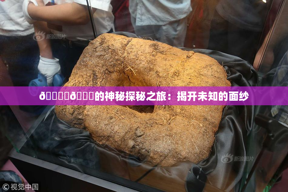 🔞‌🍌的神秘探秘之旅：揭开未知的面纱