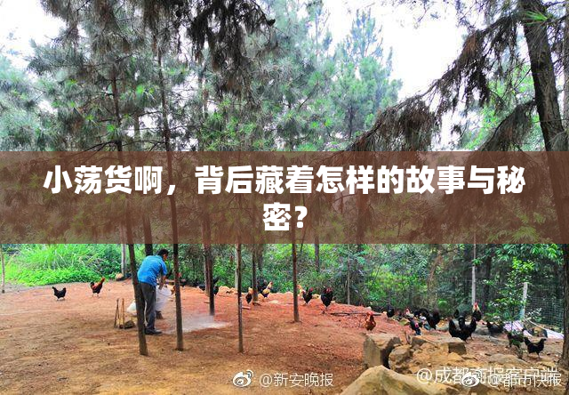 小荡货啊，背后藏着怎样的故事与秘密？