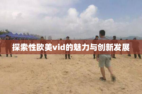 探索性欧美vid的魅力与创新发展