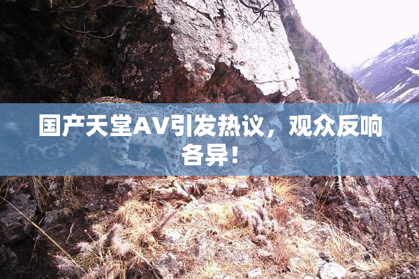 国产天堂AV引发热议，观众反响各异！