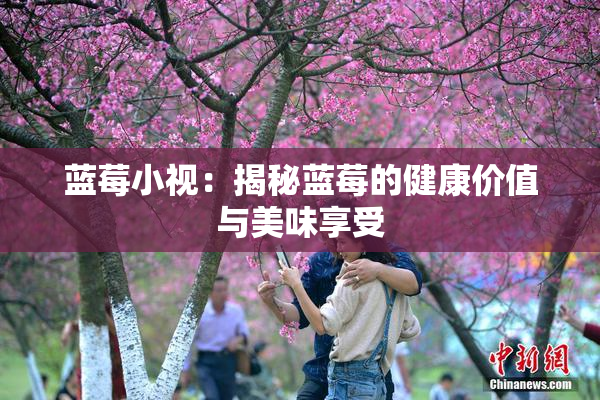 蓝莓小视：揭秘蓝莓的健康价值与美味享受