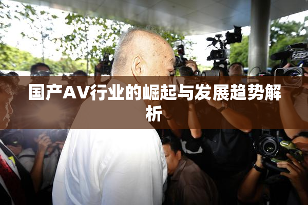 国产AV行业的崛起与发展趋势解析
