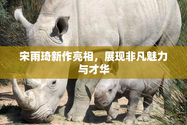 宋雨琦新作亮相，展现非凡魅力与才华