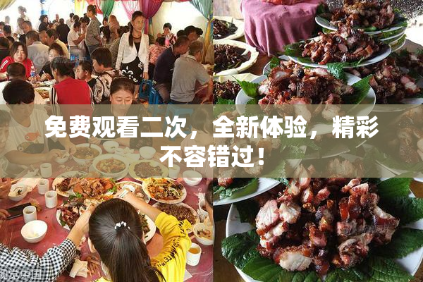免费观看二次，全新体验，精彩不容错过！
