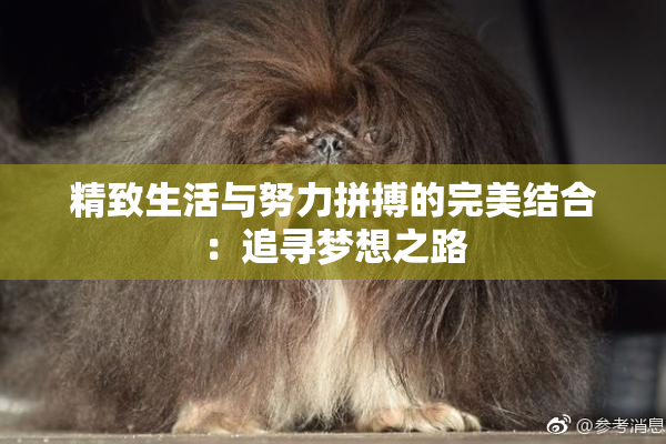 精致生活与努力拼搏的完美结合：追寻梦想之路