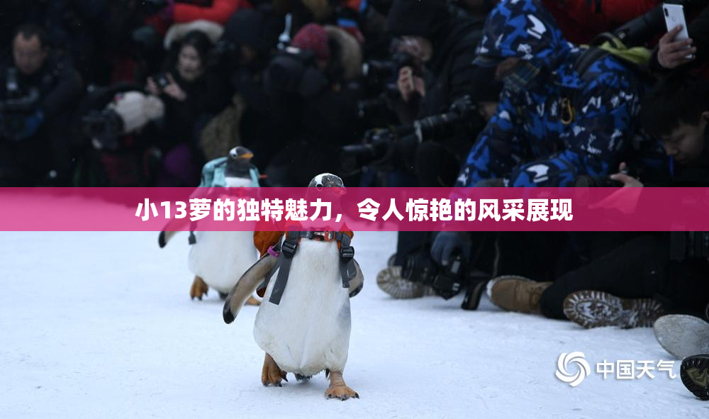 小13萝的独特魅力，令人惊艳的风采展现
