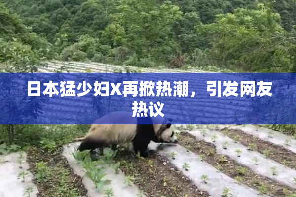 日本猛少妇X再掀热潮，引发网友热议