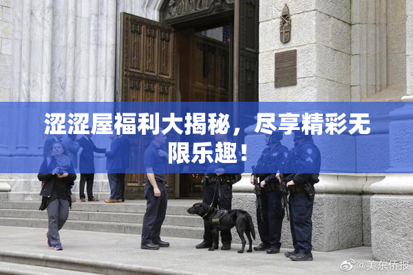 涩涩屋福利大揭秘，尽享精彩无限乐趣！