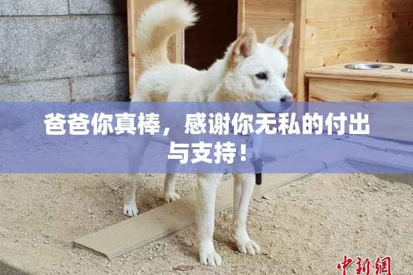 爸爸你真棒，感谢你无私的付出与支持！