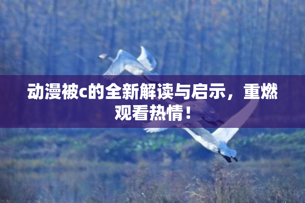 动漫被c的全新解读与启示，重燃观看热情！