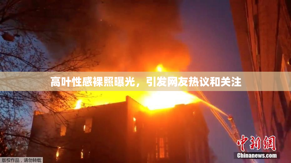 高叶性感裸照曝光，引发网友热议和关注