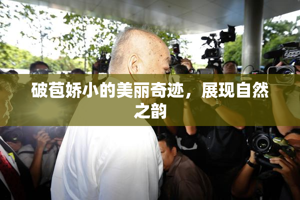 破苞娇小的美丽奇迹，展现自然之韵