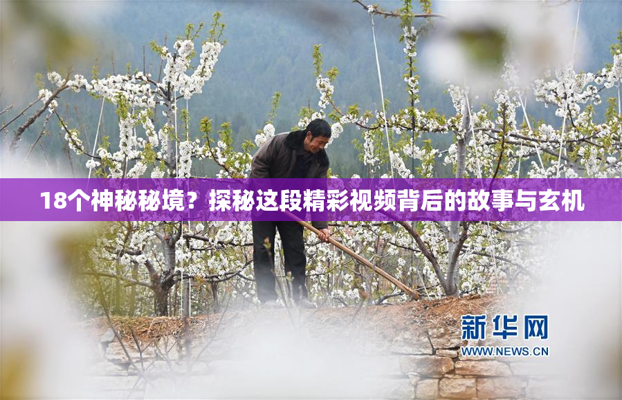 18个神秘秘境？探秘这段精彩视频背后的故事与玄机
