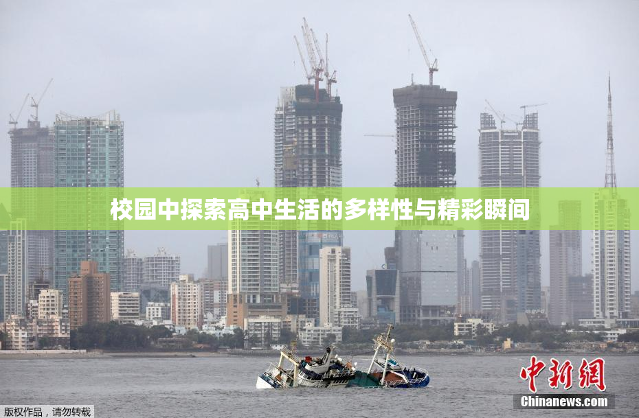 校园中探索高中生活的多样性与精彩瞬间