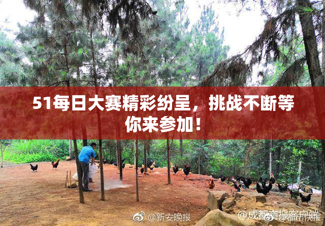 51每日大赛精彩纷呈，挑战不断等你来参加！