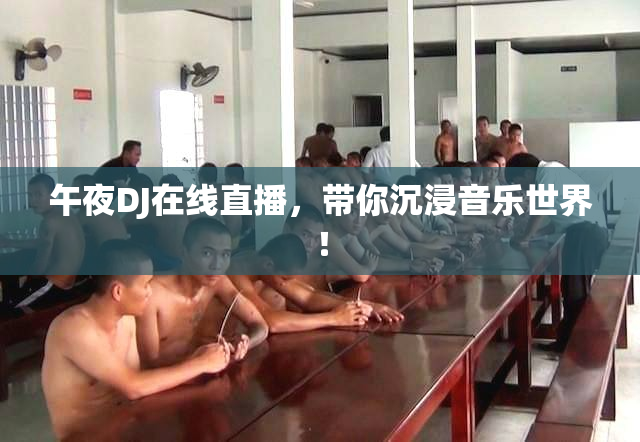午夜DJ在线直播，带你沉浸音乐世界！