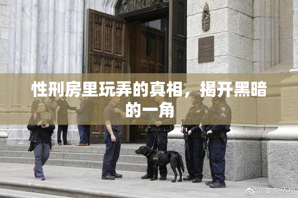 性刑房里玩弄的真相，揭开黑暗的一角