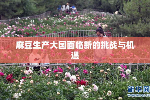 麻豆生产大国面临新的挑战与机遇