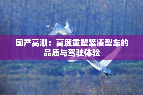 国产高潮：高度重塑紧凑型车的品质与驾驶体验