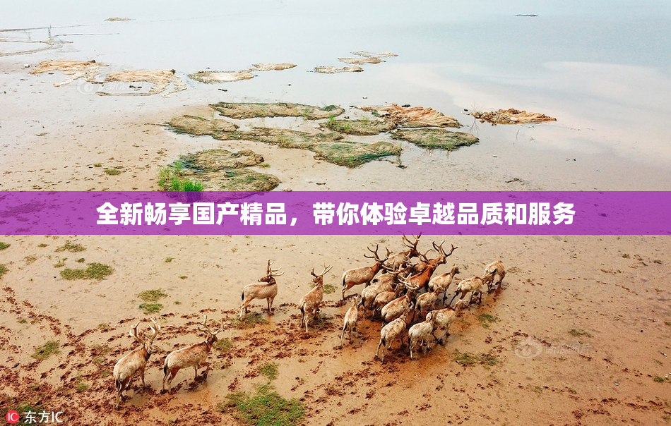 全新畅享国产精品，带你体验卓越品质和服务