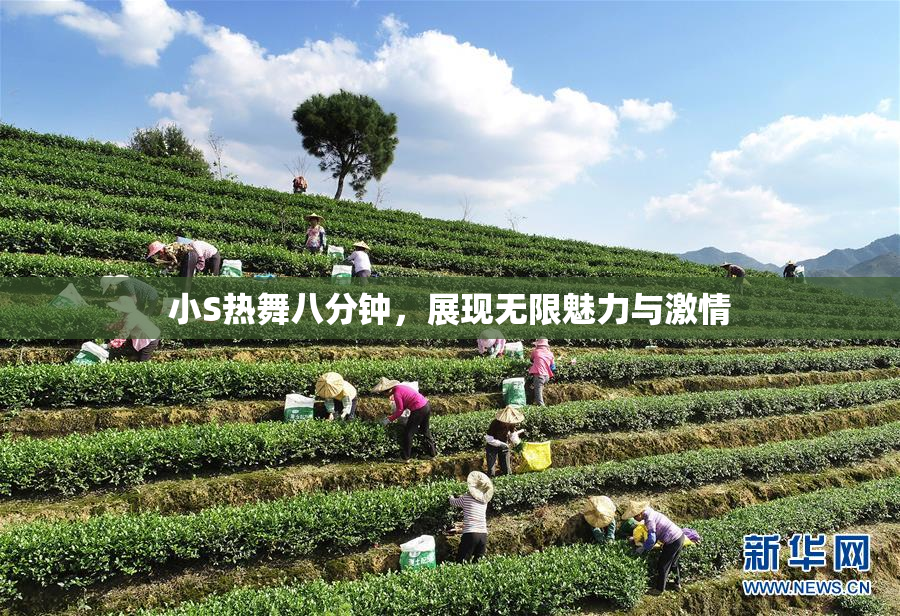 小S热舞八分钟，展现无限魅力与激情