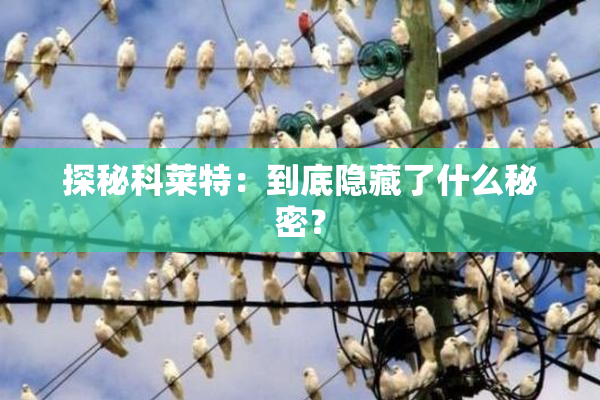 探秘科莱特：到底隐藏了什么秘密？