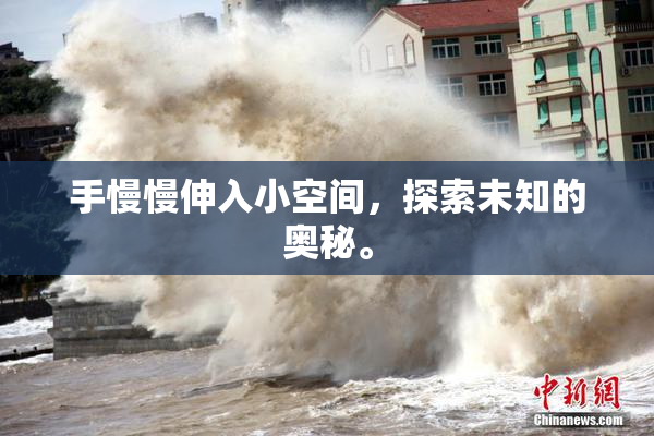 手慢慢伸入小空间，探索未知的奥秘。