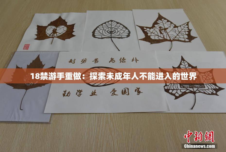 18禁游手重做：探索未成年人不能进入的世界