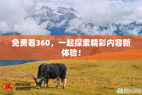 免费看360，一起探索精彩内容新体验！