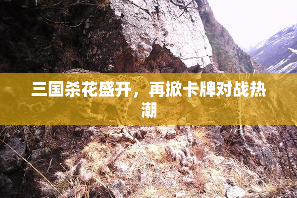 三国杀花盛开，再掀卡牌对战热潮