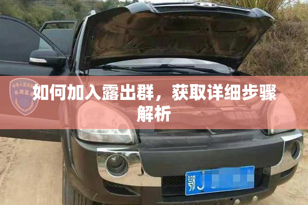 如何加入露出群，获取详细步骤解析