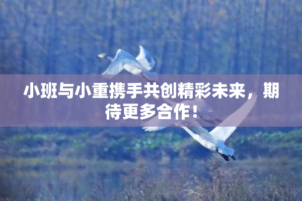 小班与小重携手共创精彩未来，期待更多合作！
