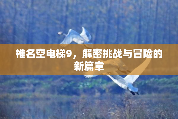 椎名空电梯9，解密挑战与冒险的新篇章