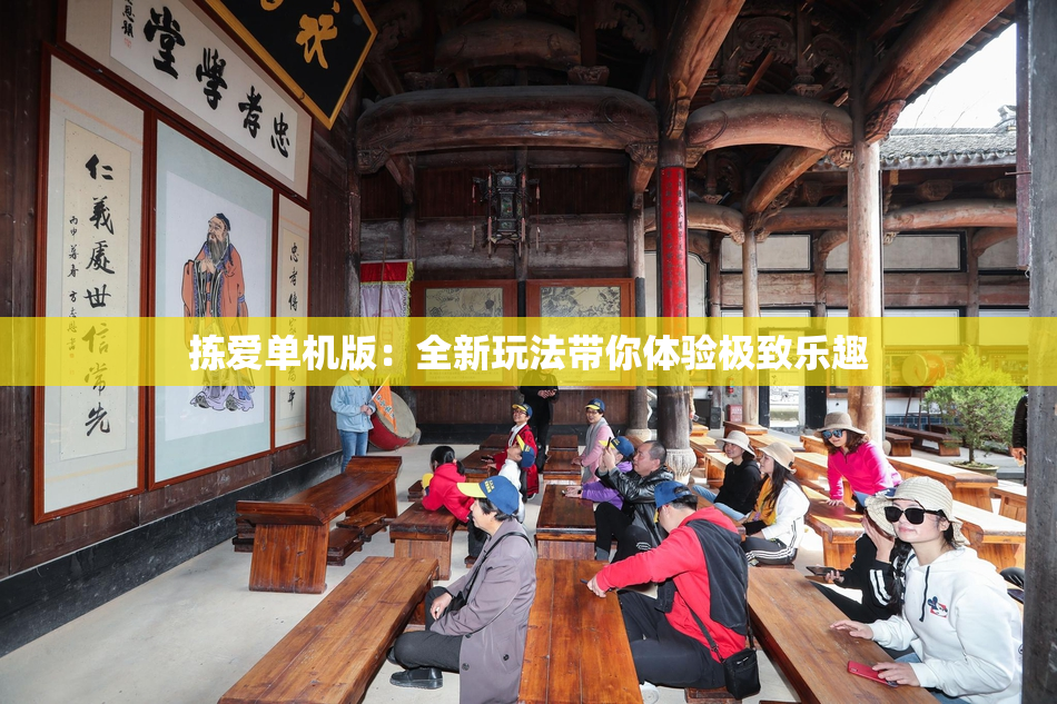 拣爱单机版：全新玩法带你体验极致乐趣