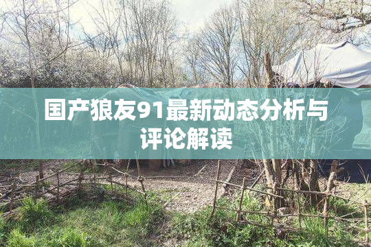 国产狼友91最新动态分析与评论解读
