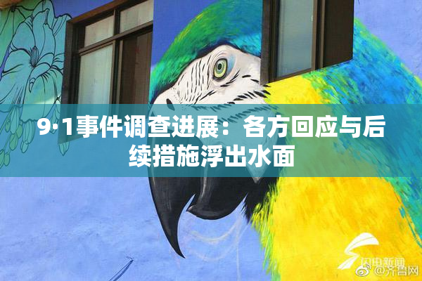9·1事件调查进展：各方回应与后续措施浮出水面