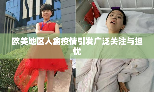 欧美地区人禽疫情引发广泛关注与担忧