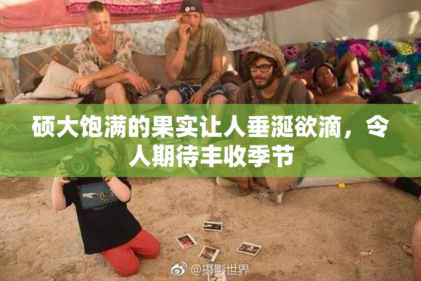 硕大饱满的果实让人垂涎欲滴，令人期待丰收季节