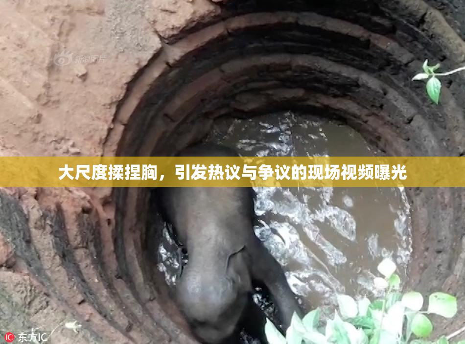 大尺度揉捏胸，引发热议与争议的现场视频曝光